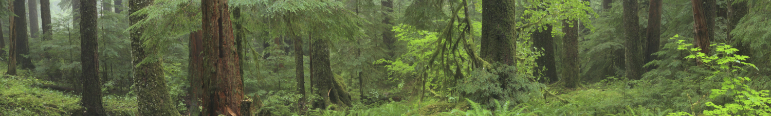 December 2023 Market Letter